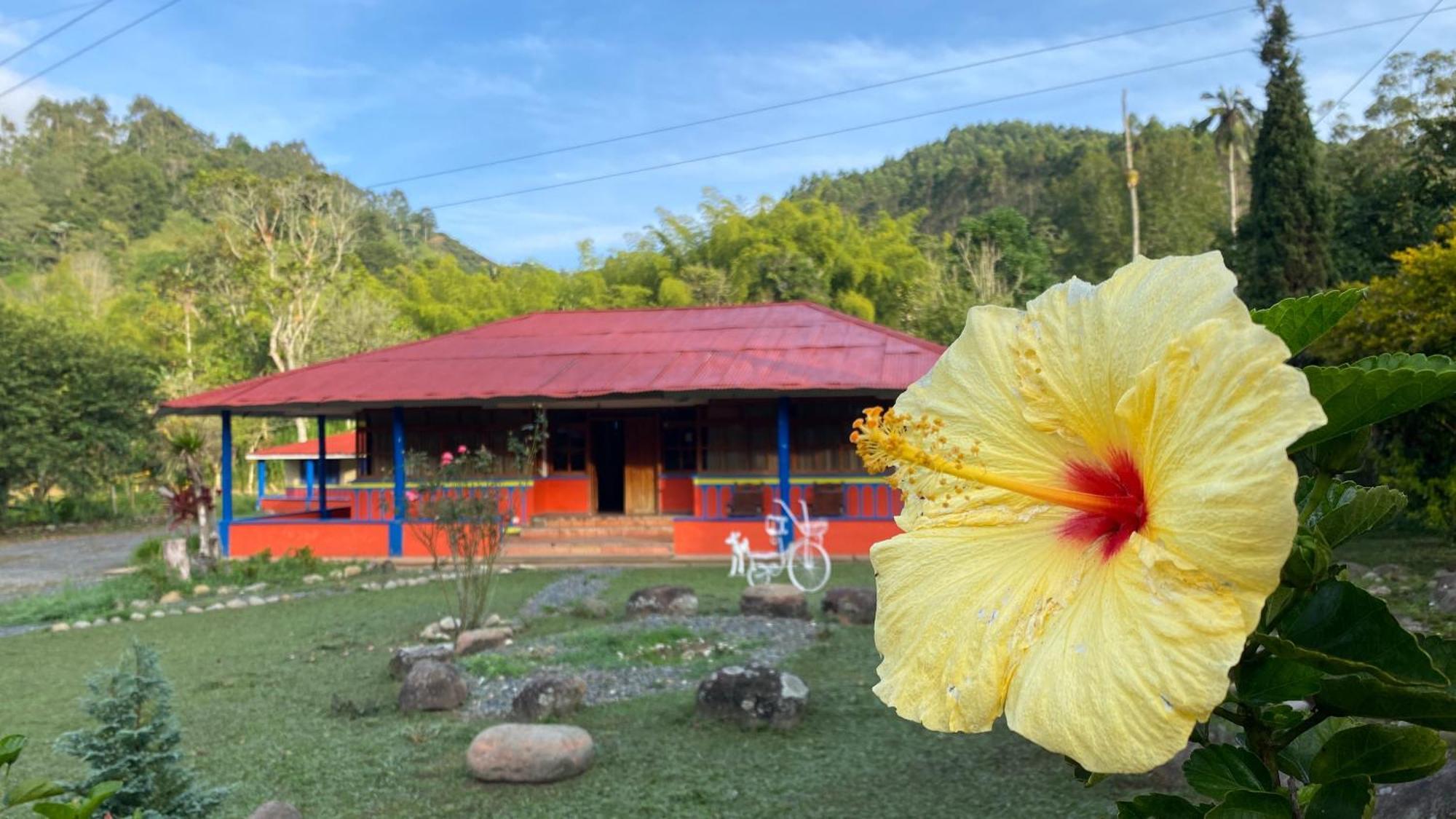 Gasthaus Brisas Del Rio Salento Exterior foto